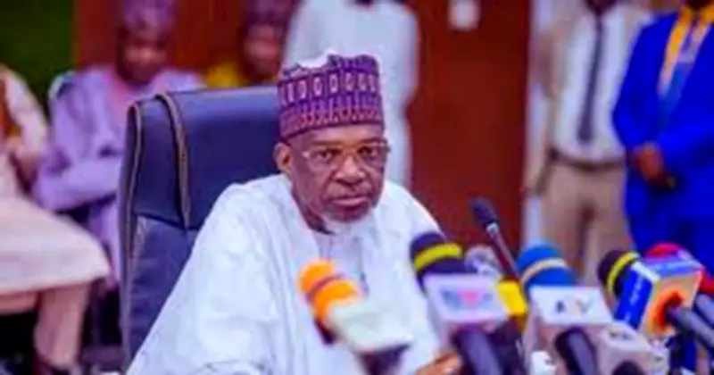 Kebbi Assembly Speaker Muhammad Usman Zuru Dies in Egypt After Brief Illness