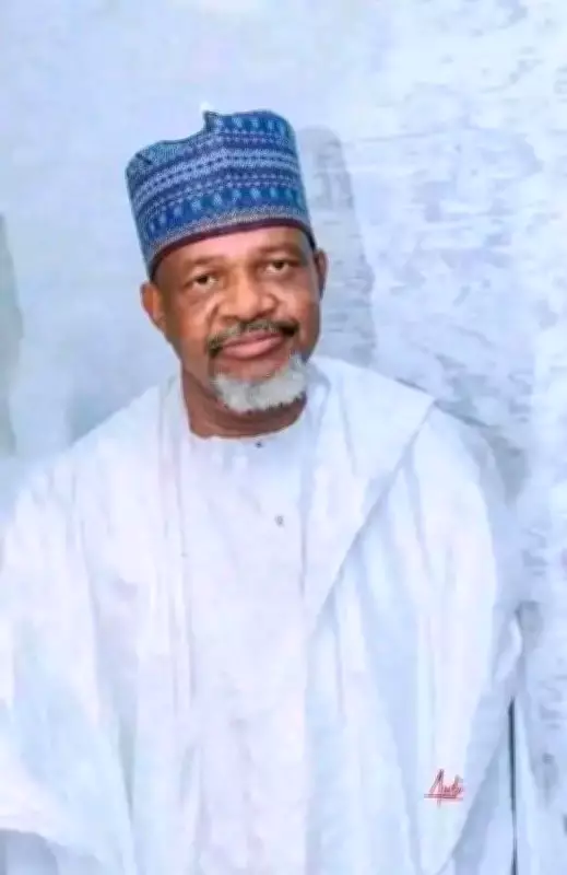 Kebbi State Assembly Speaker Muhammad Usman Zuru Passes Away in Egypt
