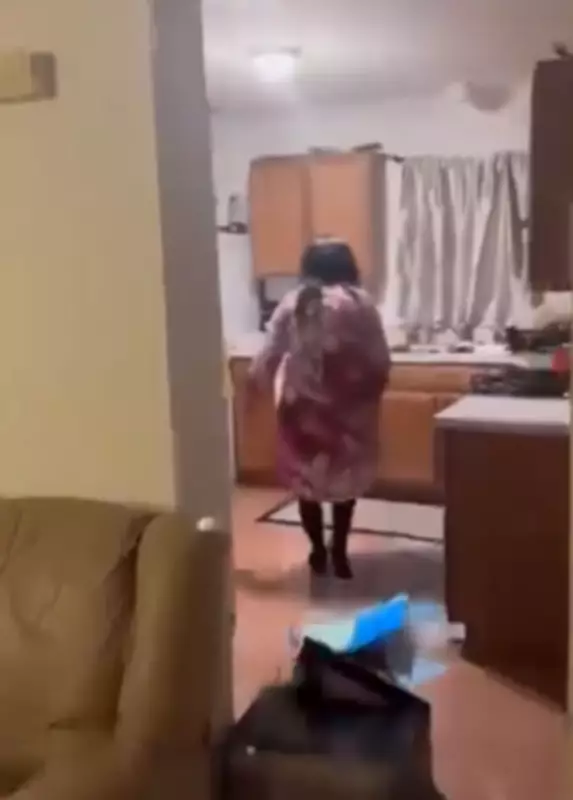 Kenyan Woman Damages Host's Property in US Viral Video