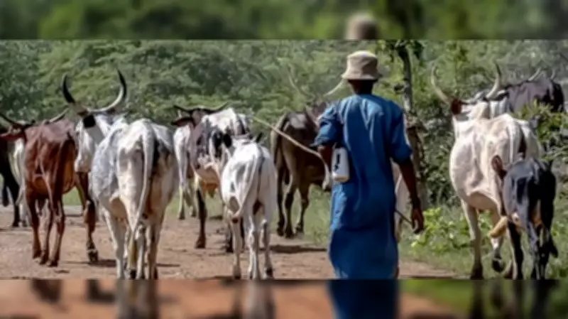 Kogi East Residents Raise Alarm Over Influx of Armed Strangers