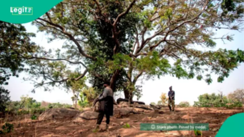 Kwara Forest Guards Decry Neglect After Terrorist Attack Kills Five Colleagues