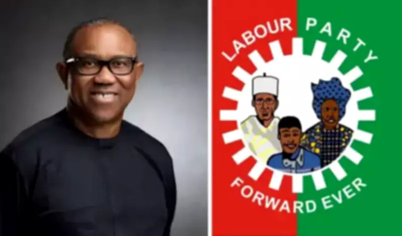 Labour Party Rules Out Peter Obi for 2027 Presidential Ticket