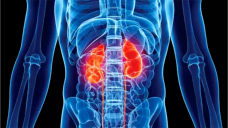 LGRhythms Foundation Intensifies Campaign Against Rising Kidney Failure in Nigeria