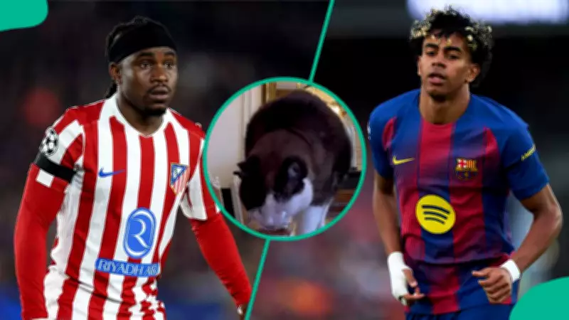 Mysterious Cat Predicts Barcelona Comeback in Champions League Quarter-Final