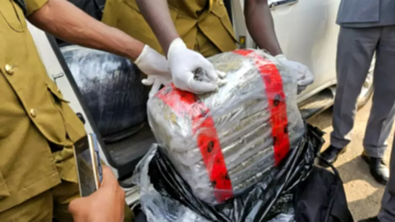 NDLEA Busts Major Illicit Drugs Warehouse in Edo, Arrests Suspect