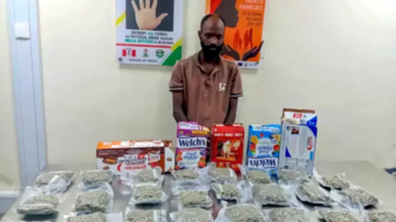 NDLEA Intercepts UK-Bound Cocaine, Arrests Suspects in Multi-State Drug Busts