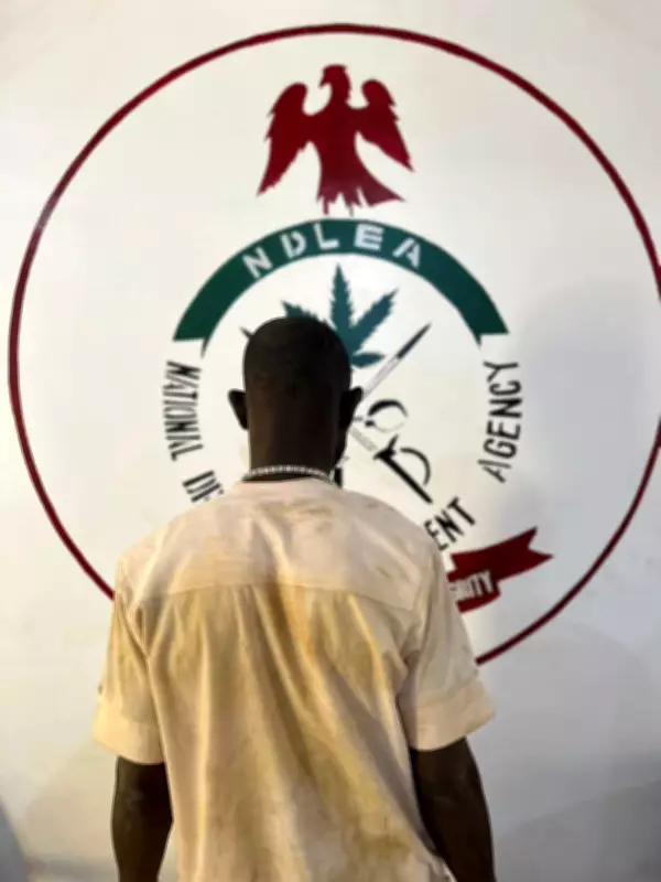 NDLEA Nabs Suspected Drug Dealer Who Jumped from Second Floor in Kano