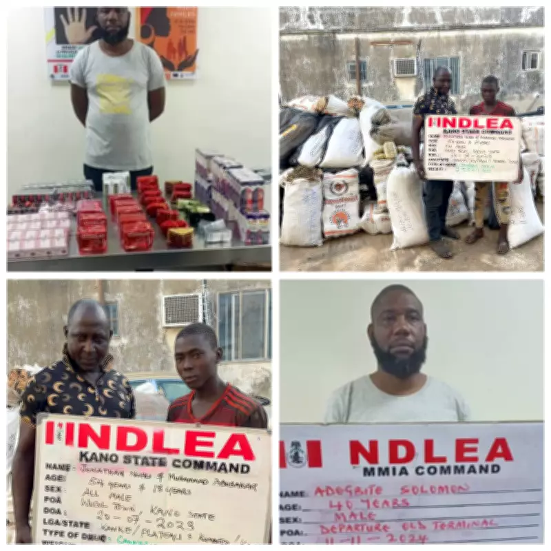 NDLEA Secures 974 Convictions, 11 Kingpins Get 254 Years in Prison