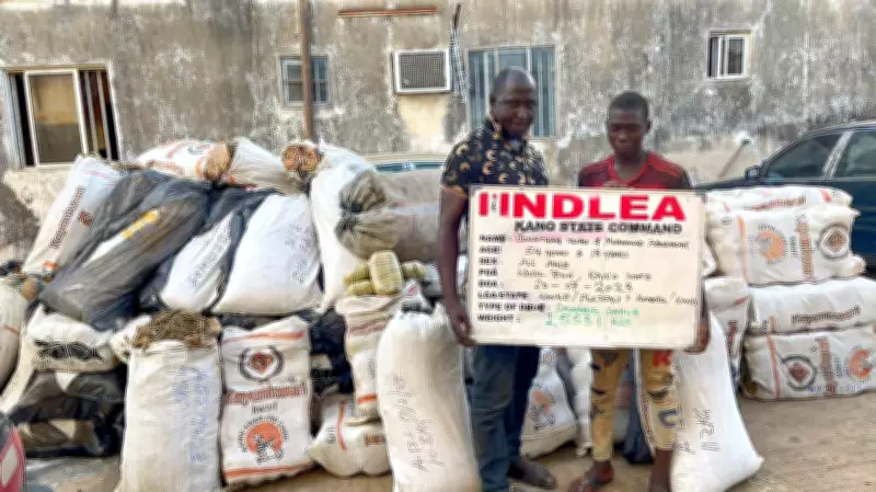 NDLEA Secures 974 Drug Convictions, 11 Kingpins Get 254 Years in Landmark Crackdown