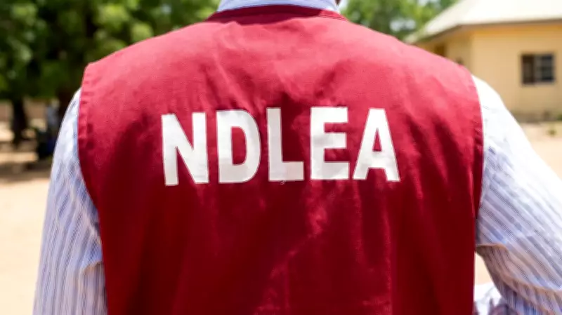 NDLEA Seizes Over Six Tons of Drugs in Cross River, Arrests 216 Suspects