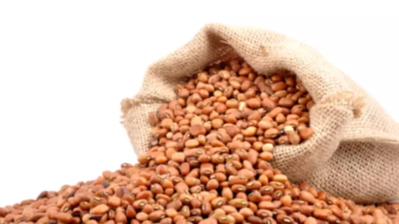 New gene-pyramided cowpea lines offer breakthrough against Striga parasite