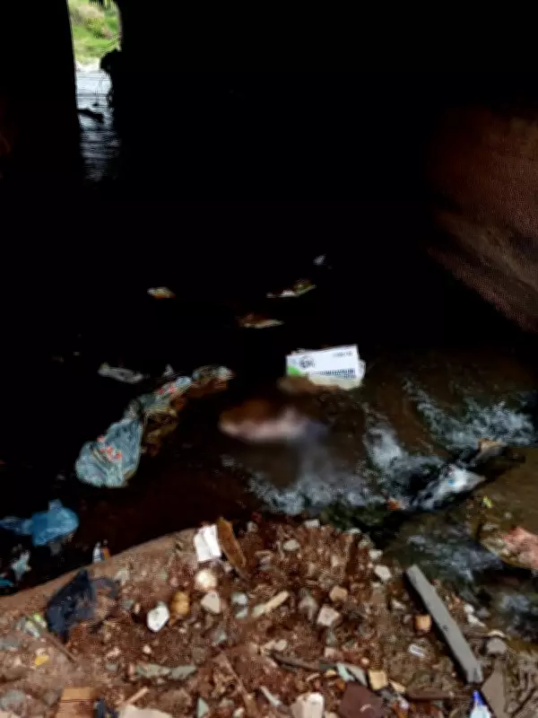 Newborn Baby Found Dead in Stream in Gboko, Benue State