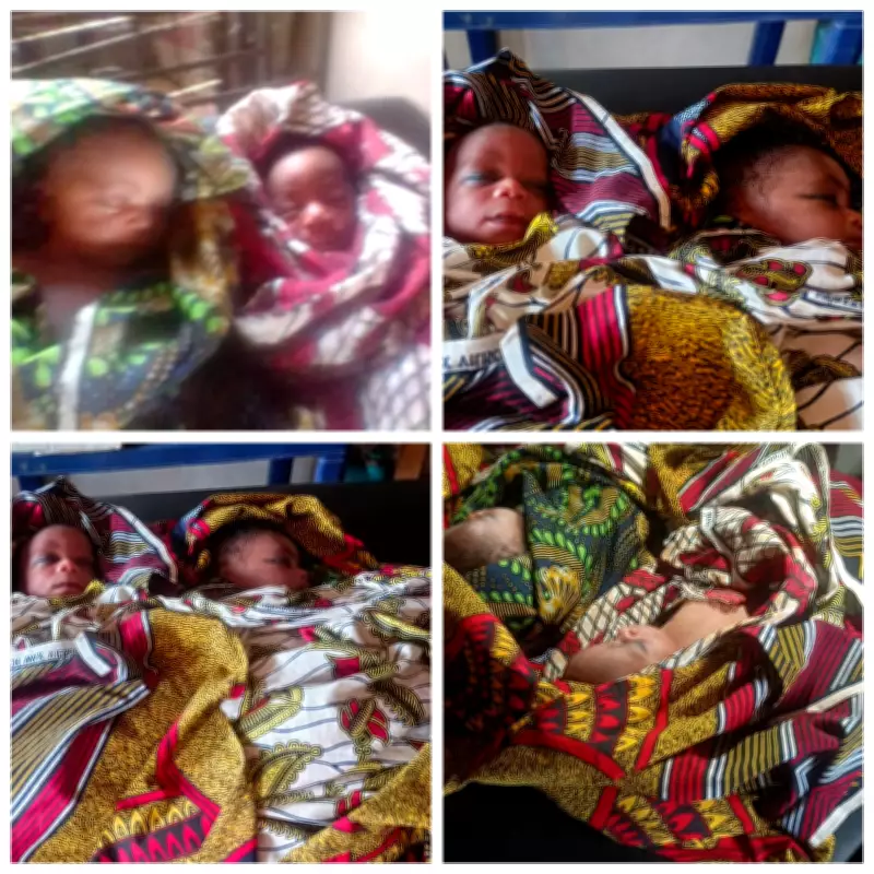 Newborn Twins Abandoned in Benue Bush, Rescued by Task Force