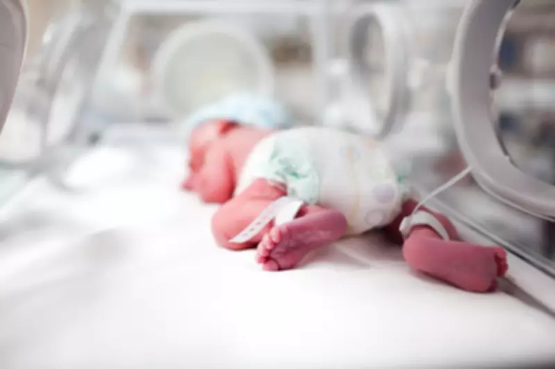 Newborns Already Carry Antibiotic Resistance Genes, Study Reveals
