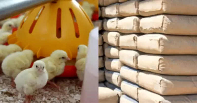Nigeria Bans Poultry, Cement, Medicine Imports, Imposes 2% Green Tax on Vehicles