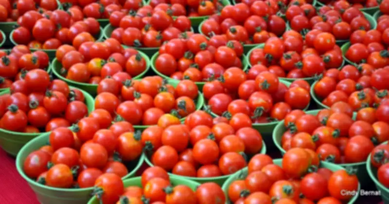Nigeria Spends $400M on Tomato Paste Imports Despite High Local Production
