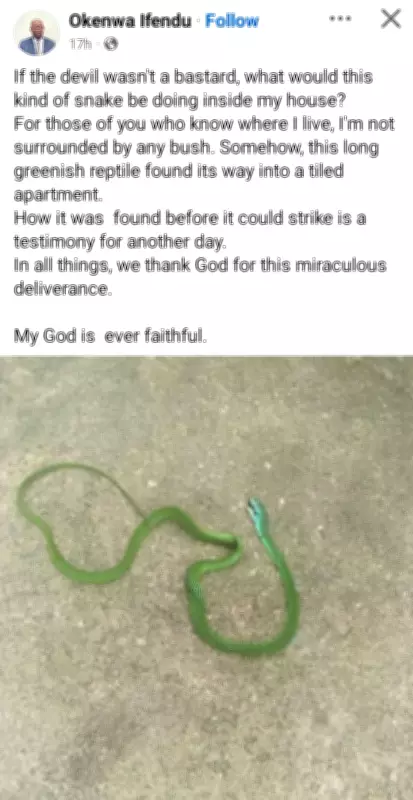 Nigerian Man Discovers Snake in Tiled Home, Questions How Reptile Entered