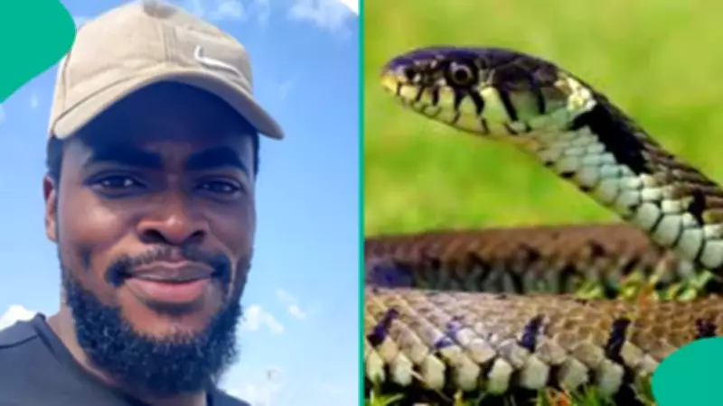 Nigerian Man Flees New Apartment After Spotting Snake in Kitchen