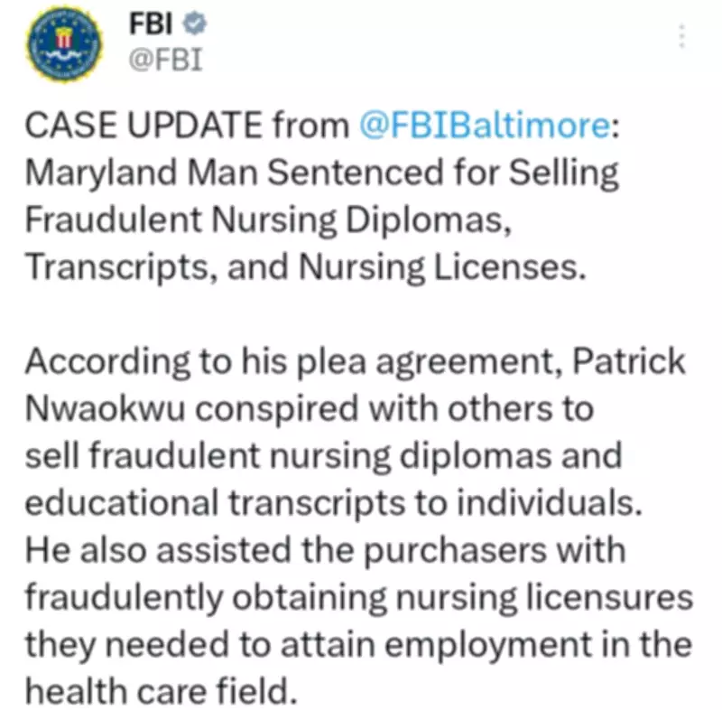 Nigerian Man Sentenced to 21 Months in US Nursing Diploma Scam