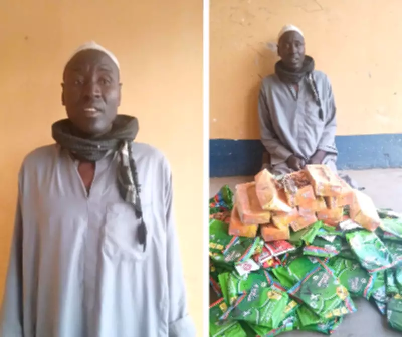 Nigerian Troops Capture Suspected ISWAP Logistics Courier in Borno Operation