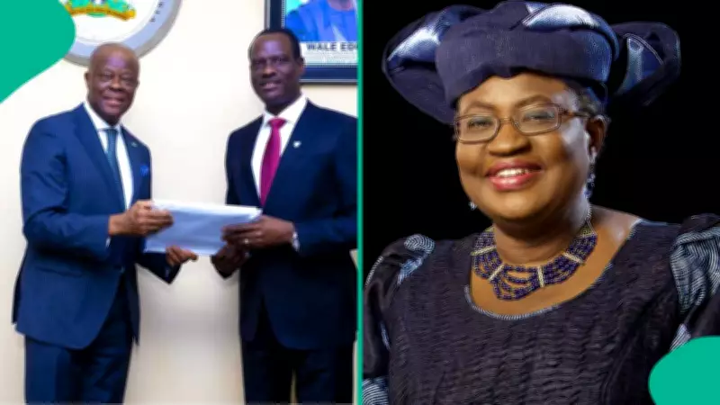 Nigeria's Finance Ministers Since 1999: Full List and Academic Backgrounds