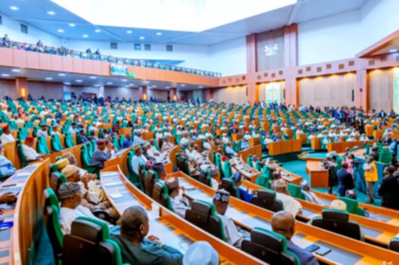 Nigeria's House of Representatives Launches Probe into Plummeting Farm Produce Prices