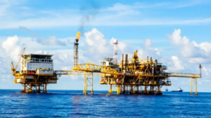 Nigeria's Industrial Future Depends on Local Capacity, Says PANA Holdings CEO