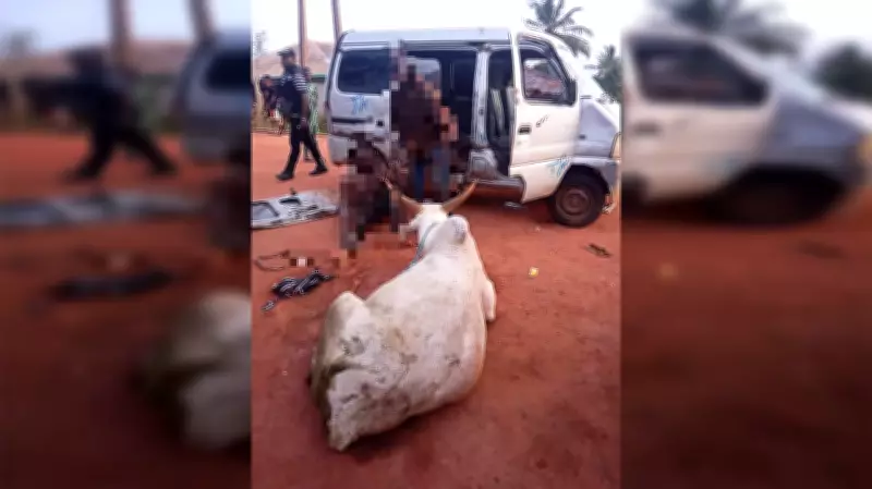Ogun Police Arrest Two Suspected Cattle Rustlers, Recover Stolen Cow Worth N1.7m
