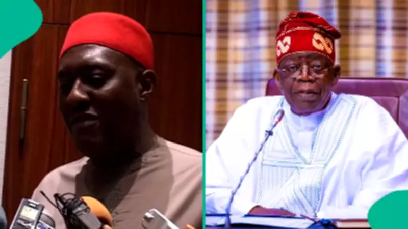 Olisa Metuh Appointed to Key Role in Pro-Tinubu Campaign Initiative for 2027 Election