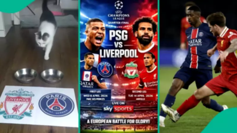 Oracle Cat Predicts Liverpool Victory Over PSG in Champions League Quarter-Final