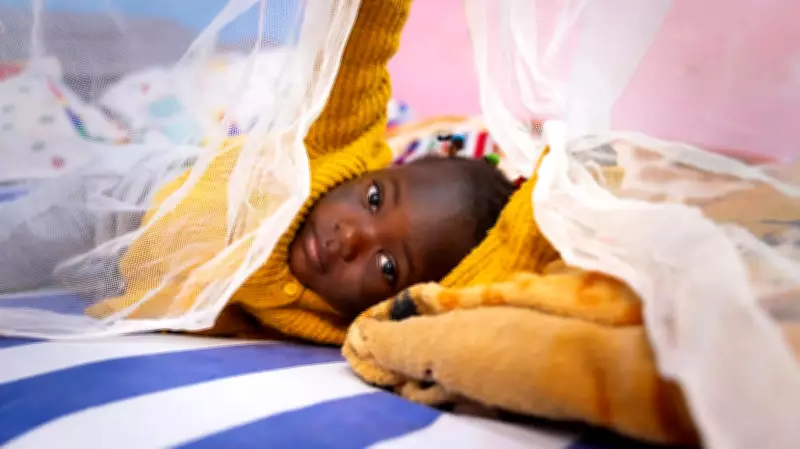 Over Half of Nigerian Children Lack Mosquito Net Protection, NMEP Data Reveals