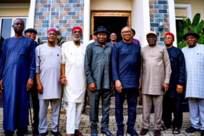 Peter Obi Reveals Meeting with Jonathan on Nigeria's Future