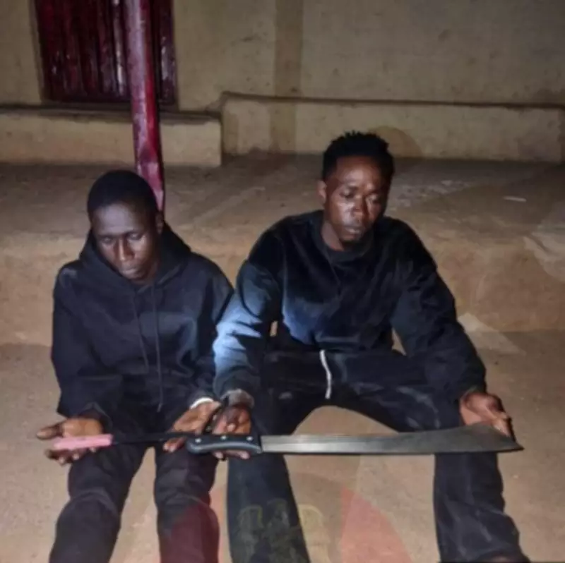 Plateau Troops Neutralize 3 Terrorists, Arrest 2 Fake Security Operatives for Arson