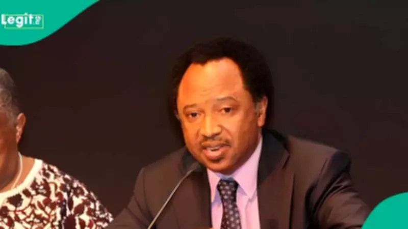 Shehu Sani Calls Peter Obi Support 'Drama' Driven by Tribal Sentiments