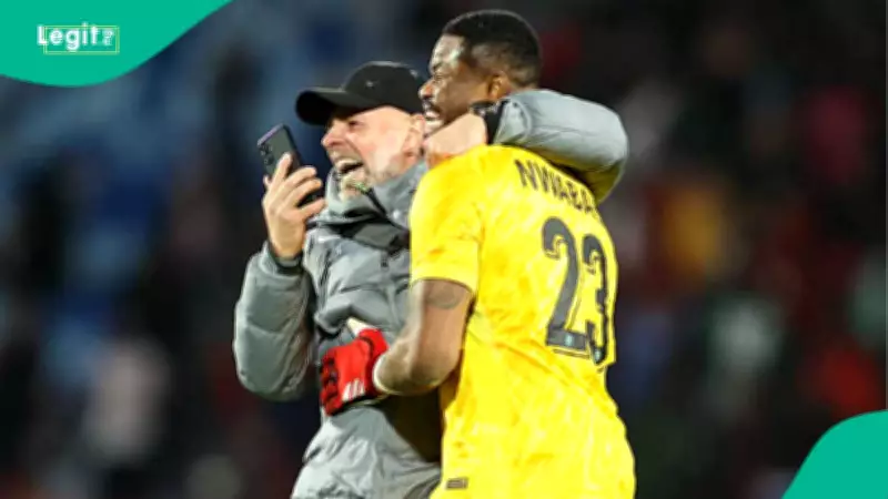 Stanley Nwabali Transfer: 3 Likely Clubs for Super Eagles Goalkeeper This Summer