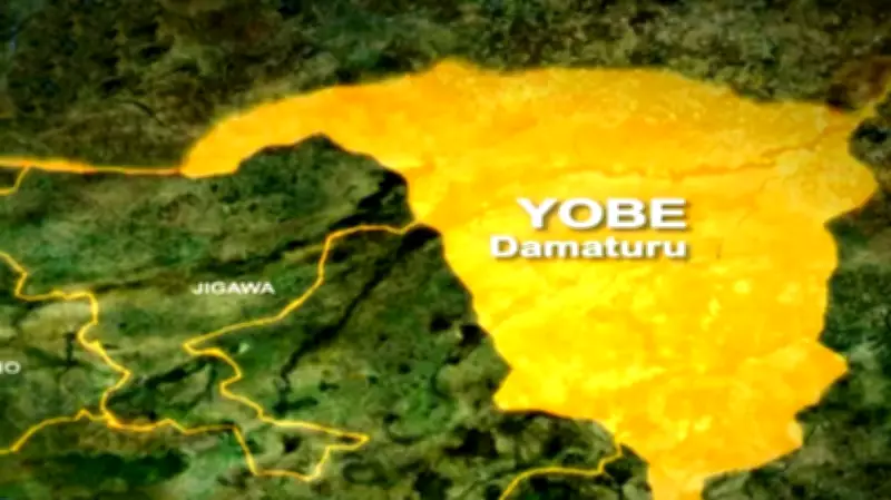 Suspected Foreign National Arrested by Troops in Yobe State