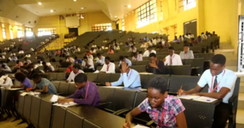 Top 10 Courses for Quick Employment in Nigeria's Competitive Job Market