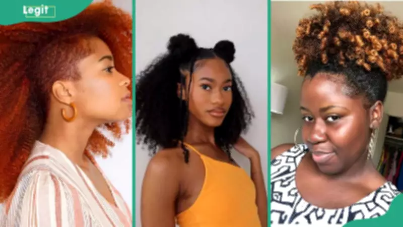 Top 50 Latest Female Hairstyles for Curly Natural Hair in 2026