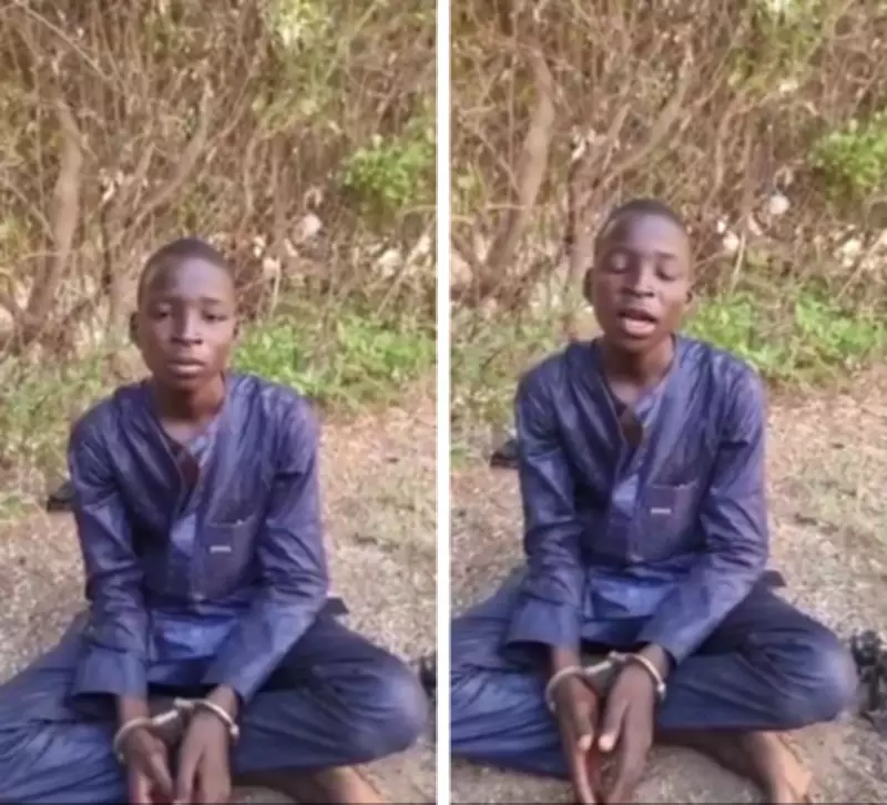Troops Arrest 15-Year-Old ISWAP Logistics Courier in Borno, Link to Jilli Strikes