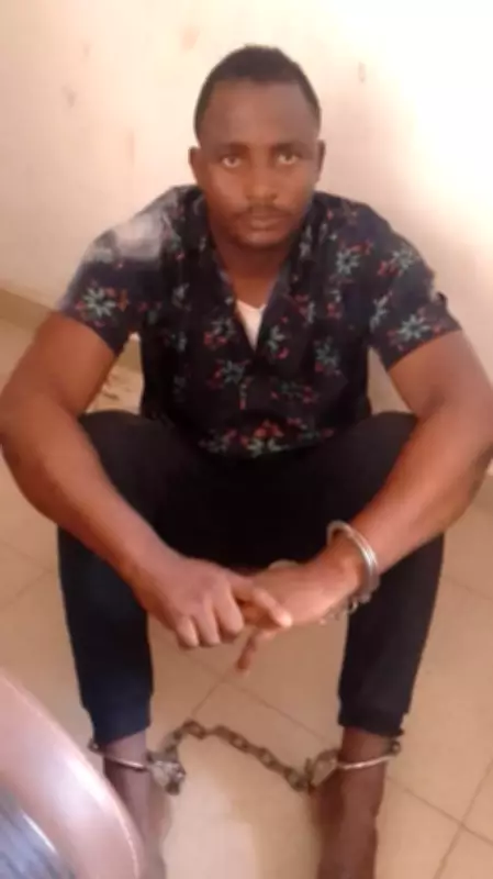 Troops Arrest Suspect, Recover Arms After Attack on Forest Guards in Kaduna