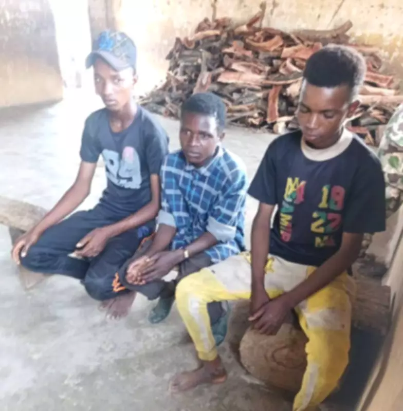 Troops rescue three kidnapped victims in Niger State operation