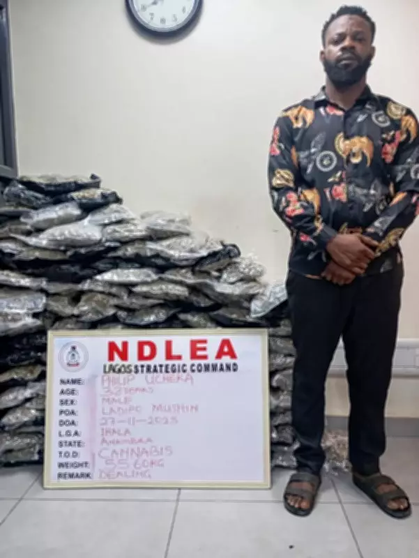 Two Lagos traders jailed 5 years for trafficking 55.6kg cannabis