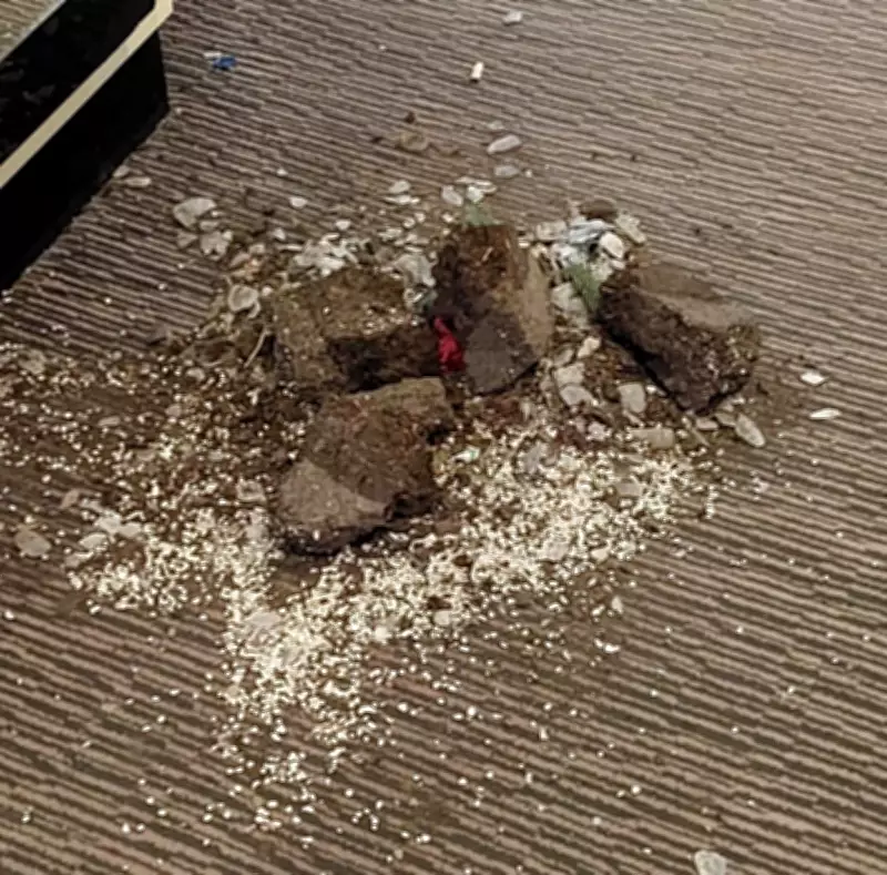 Two Women Banned from All UK Hotels After Trashing Bournemouth Property