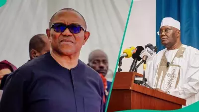 Atiku Ally Dele Momodu Warns Against Obidient Hostility Ahead of 2027 Elections