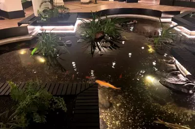 British Tourist, 70, Falls from Hotel Balcony into Koi Pond in Lanzarote