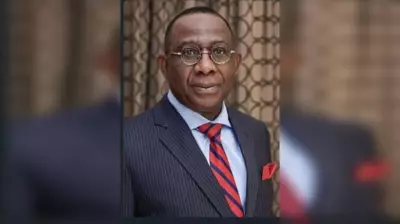 Economist Urges Immediate Privatization of Ajaokuta Steel to Generate $14 Billion Annually