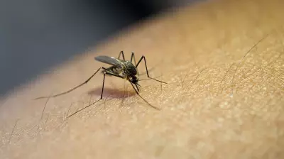 Gavi Warns Funding Gaps Threaten Malaria, Cervical Cancer Progress