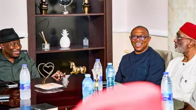 Jonathan Meets Obi, South-East Leaders in Abuja Ahead of 2027