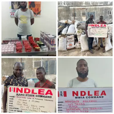 NDLEA Secures 974 Convictions, 11 Kingpins Get 254 Years in Prison