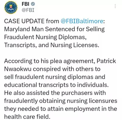 Nigerian Man Sentenced to 21 Months in US Nursing Diploma Scam